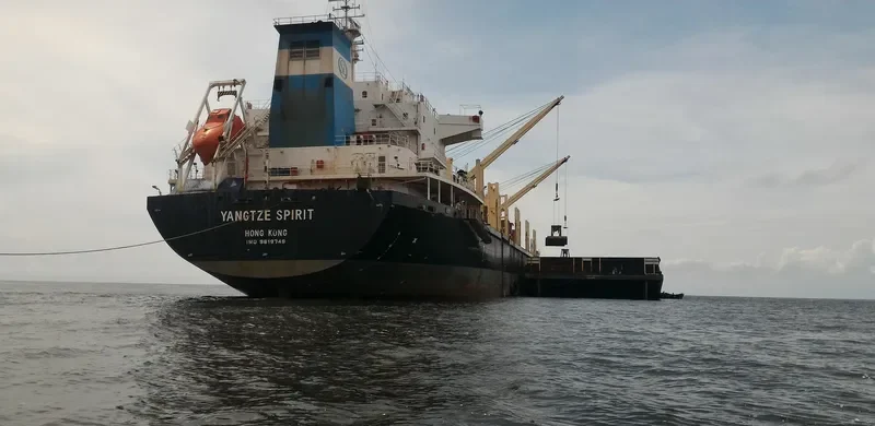 YANGTZE SPIRIT Bulk Carrier IMO 9619749 photo 7