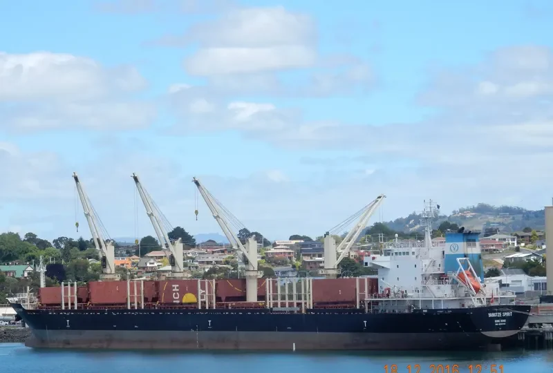 YANGTZE SPIRIT Bulk Carrier IMO 9619749 photo 9