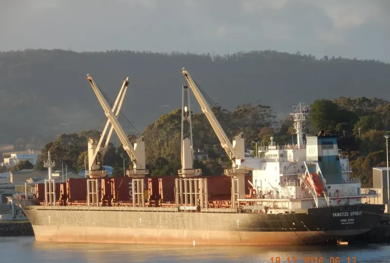 YANGTZE SPIRIT Bulk Carrier IMO 9619749 photo 10