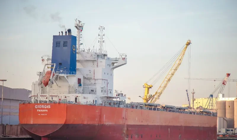 GIORGIS Bulk Carrier IMO 9619775 photo 3