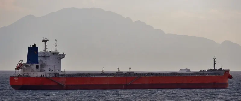 GIORGIS Bulk Carrier IMO 9619775 photo 4