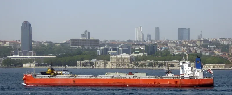 SEABISCUIT Bulk Carrier IMO 9619787 photo 6