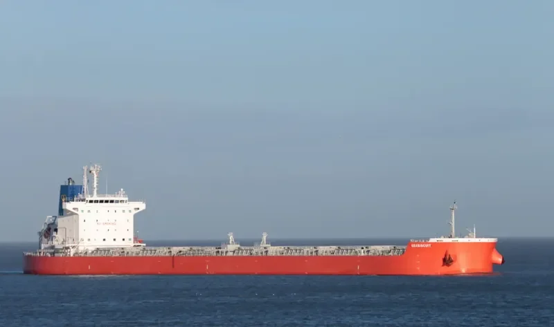 SEABISCUIT Bulk Carrier IMO 9619787 photo 8
