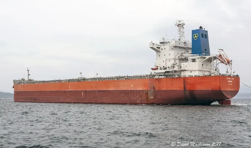 FLAG EVI Bulk Carrier IMO 9619799 photo 3
