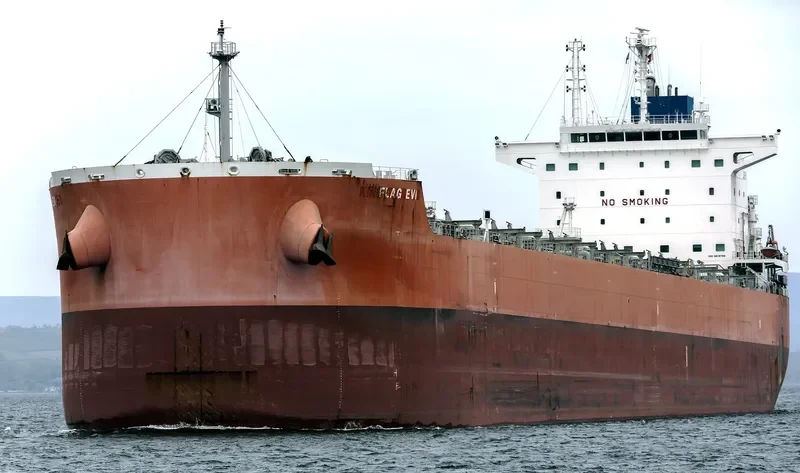 FLAG EVI Bulk Carrier IMO 9619799 photo 4
