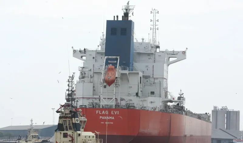 FLAG EVI Bulk Carrier IMO 9619799 photo 5