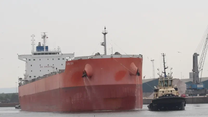 FLAG EVI Bulk Carrier IMO 9619799 photo 7