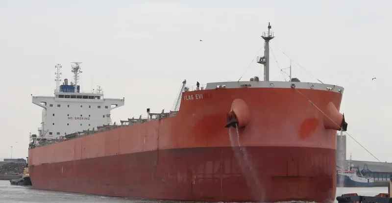 FLAG EVI Bulk Carrier IMO 9619799 photo 8
