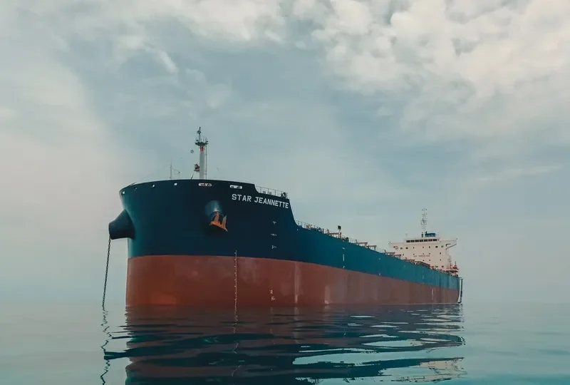 STAR JEANNETTE Bulk Carrier IMO 9619804 photo 6