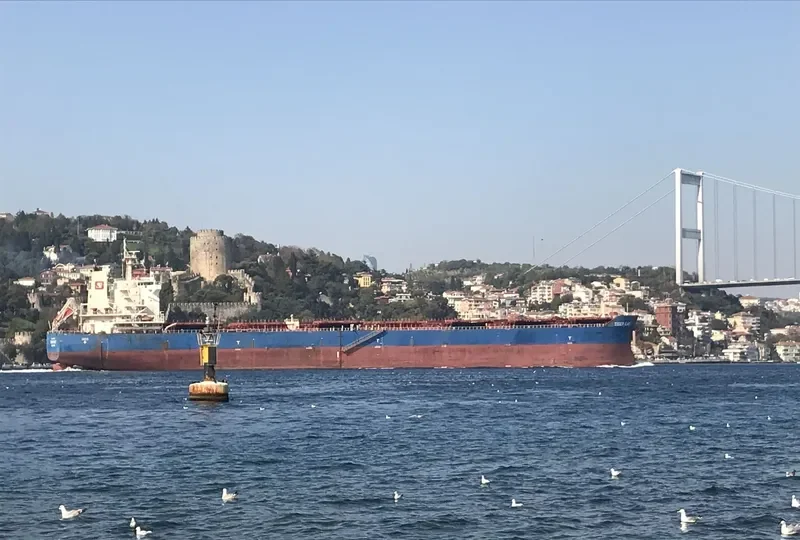TIGER EAST Bulk Carrier IMO 9619842