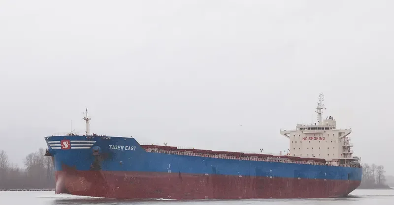 TIGER EAST Bulk Carrier IMO 9619842 photo 2