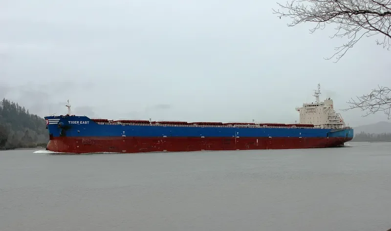 TIGER EAST Bulk Carrier IMO 9619842 photo 4