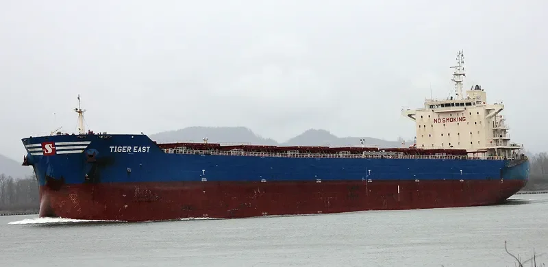TIGER EAST Bulk Carrier IMO 9619842 photo 5