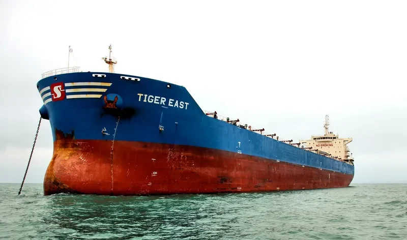 TIGER EAST Bulk Carrier IMO 9619842 photo 6
