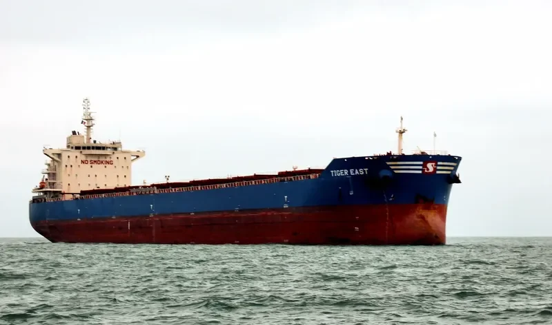 TIGER EAST Bulk Carrier IMO 9619842 photo 7