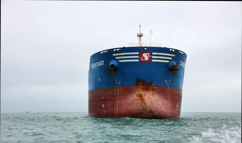 TIGER EAST Bulk Carrier IMO 9619842 photo 8