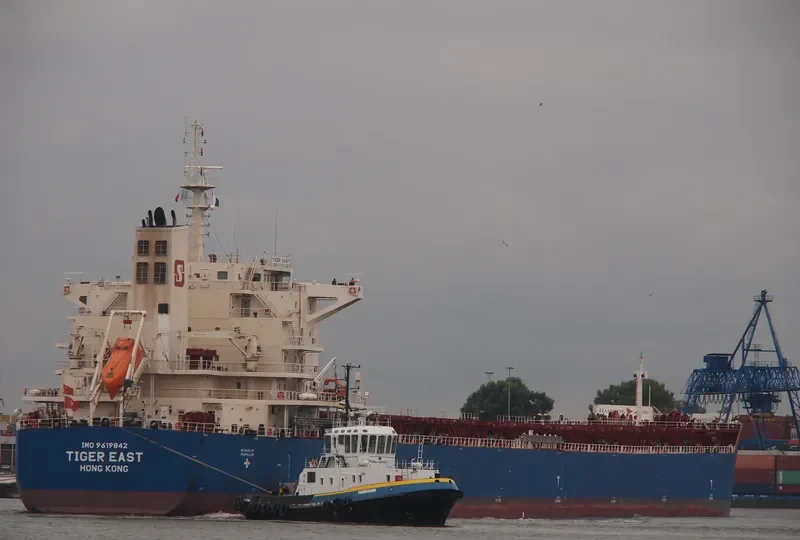 TIGER EAST Bulk Carrier IMO 9619842 photo 10