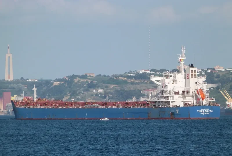 TIGER SOUTH Bulk Carrier IMO 9619854