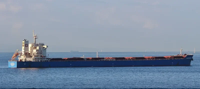 TIGER SOUTH Bulk Carrier IMO 9619854 photo 3