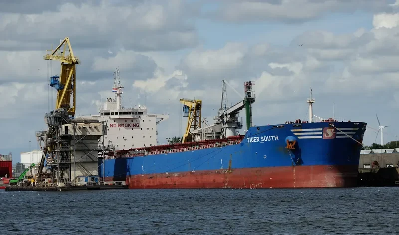 TIGER SOUTH Bulk Carrier IMO 9619854 photo 4