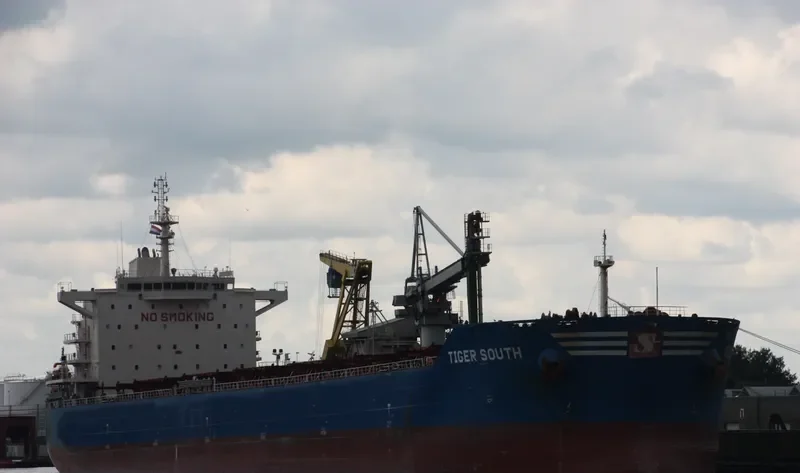 TIGER SOUTH Bulk Carrier IMO 9619854 photo 5