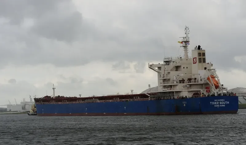 TIGER SOUTH Bulk Carrier IMO 9619854 photo 7