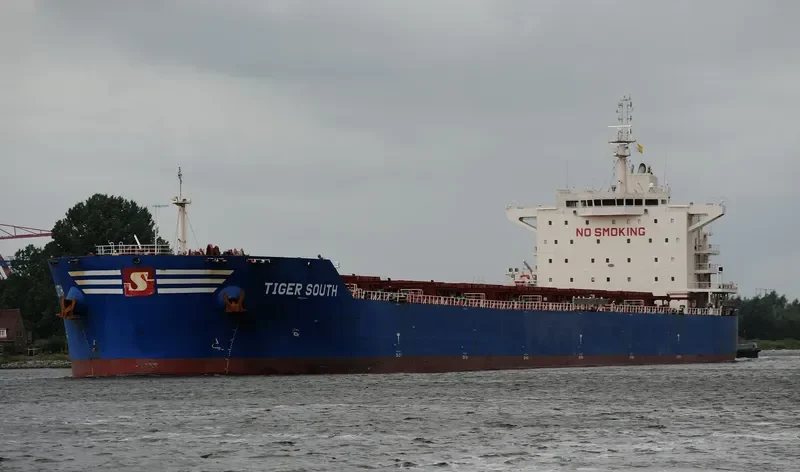 TIGER SOUTH Bulk Carrier IMO 9619854 photo 8
