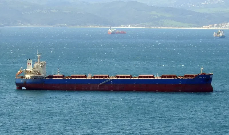 TIGER WEST Bulk Carrier IMO 9619866