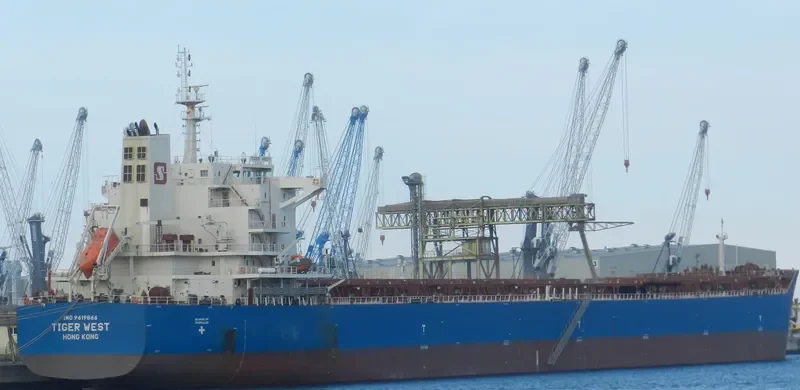 TIGER WEST Bulk Carrier IMO 9619866 photo 2