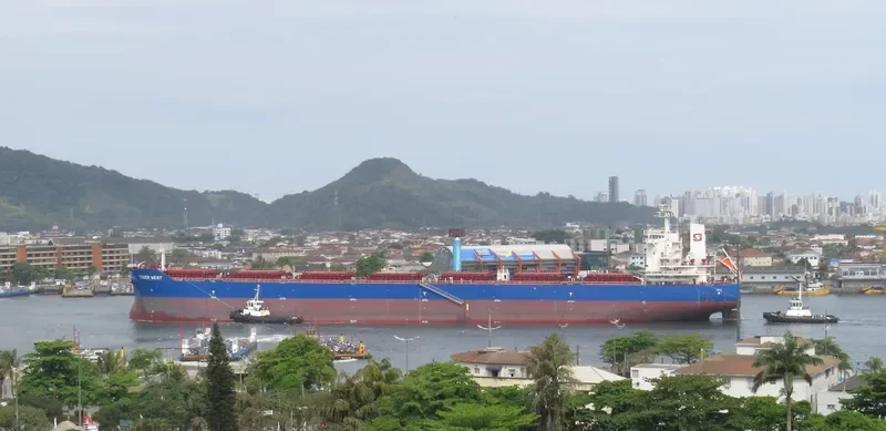 TIGER WEST Bulk Carrier IMO 9619866 photo 3