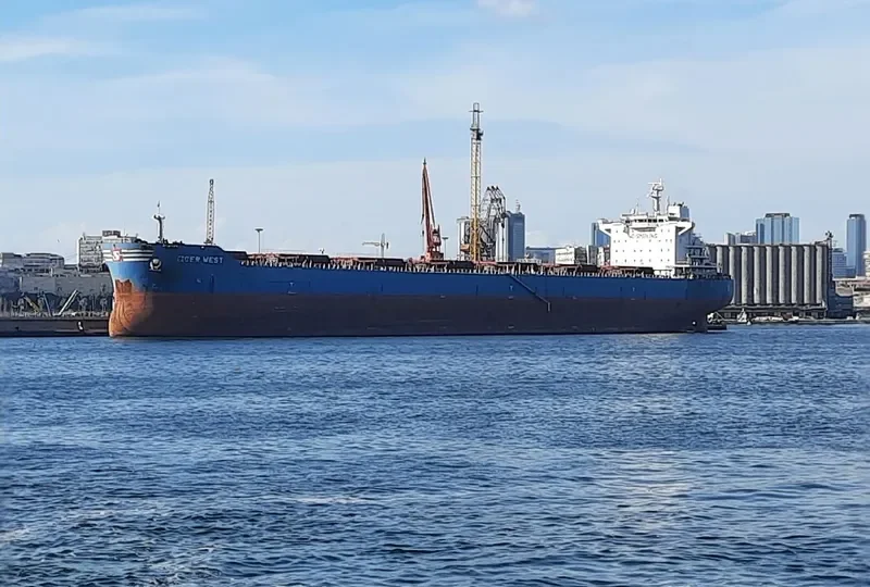 TIGER WEST Bulk Carrier IMO 9619866 photo 4