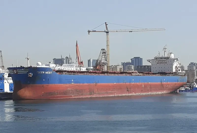 TIGER WEST Bulk Carrier IMO 9619866 photo 5
