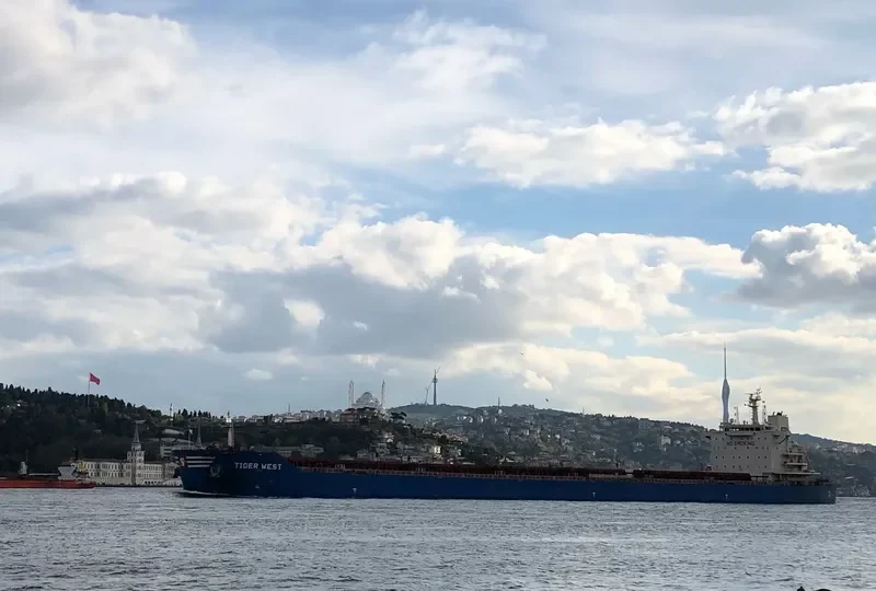 TIGER WEST Bulk Carrier IMO 9619866 photo 6