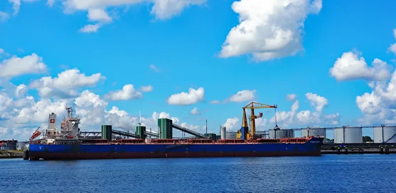 TIGER WEST Bulk Carrier IMO 9619866 photo 8