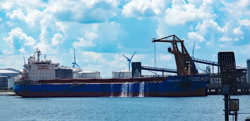 TIGER WEST Bulk Carrier IMO 9619866 photo 9