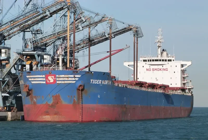 TIGER NORTH Bulk Carrier IMO 9619878