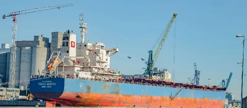 TIGER NORTH Bulk Carrier IMO 9619878 photo 2