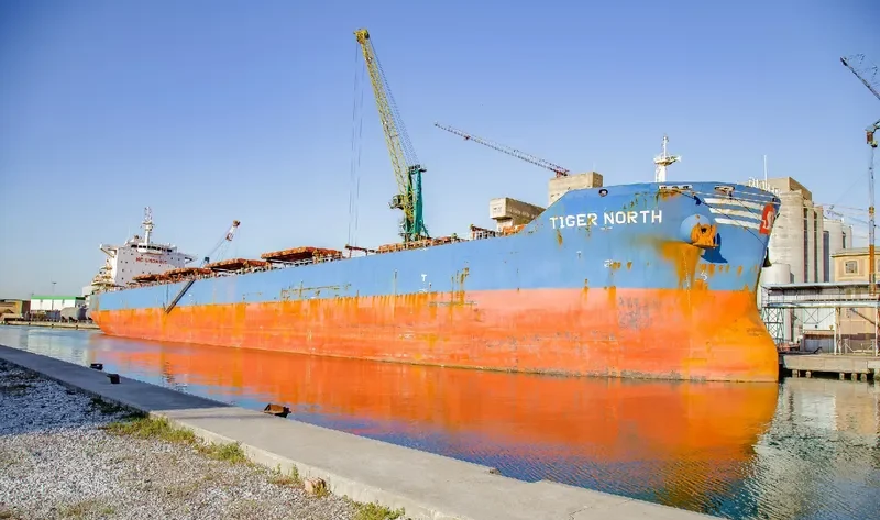 TIGER NORTH Bulk Carrier IMO 9619878 photo 3