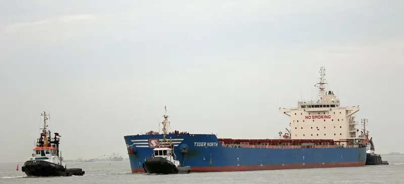 TIGER NORTH Bulk Carrier IMO 9619878 photo 5