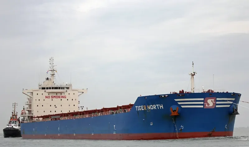 TIGER NORTH Bulk Carrier IMO 9619878 photo 6