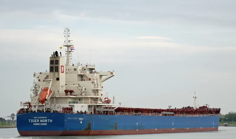 TIGER NORTH Bulk Carrier IMO 9619878 photo 7