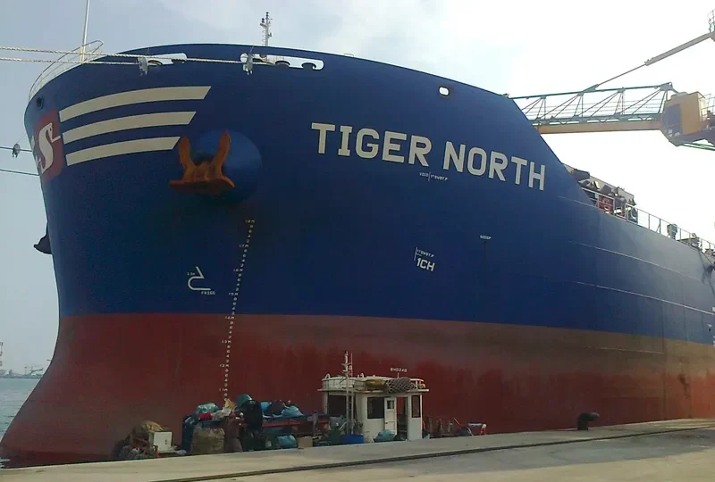 TIGER NORTH Bulk Carrier IMO 9619878 photo 9