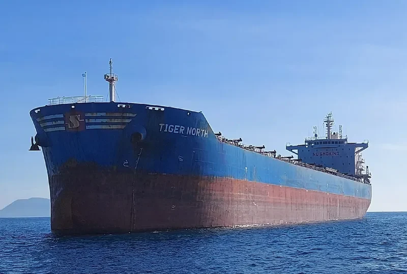 TIGER NORTH Bulk Carrier IMO 9619878 photo 10