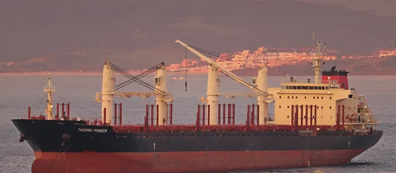 TAIZHOU PIONEER Bulk Carrier IMO 9619892