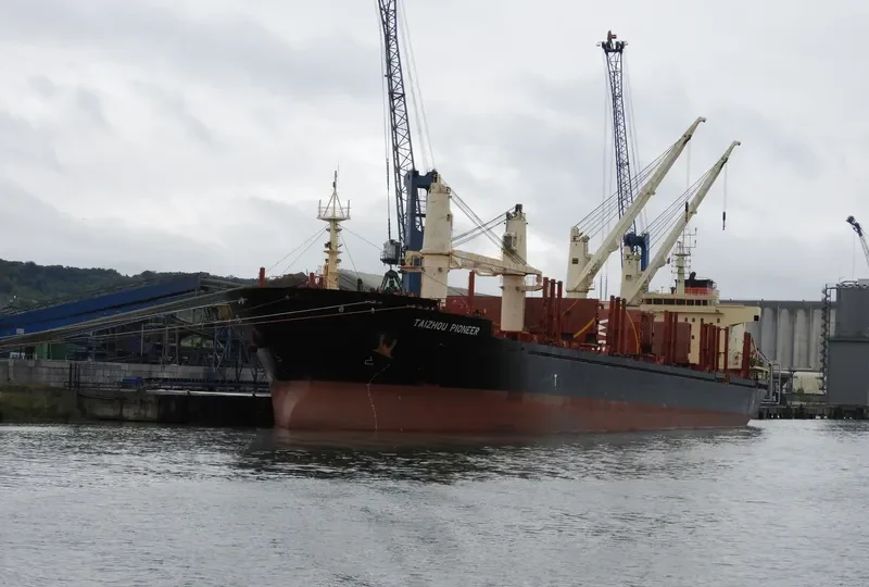 TAIZHOU PIONEER Bulk Carrier IMO 9619892 photo 2