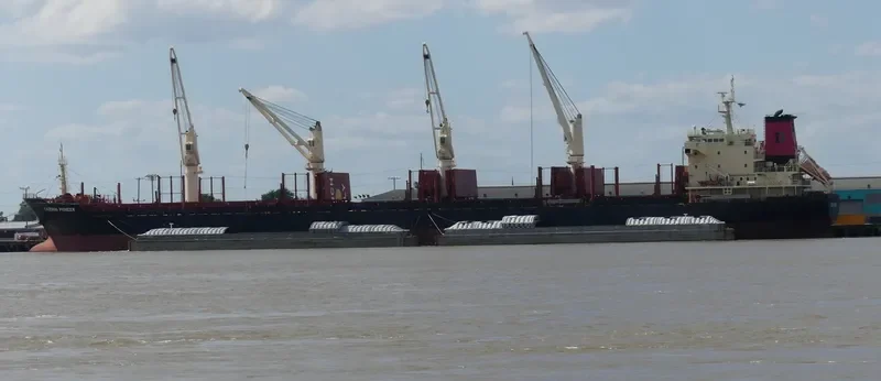 TAIZHOU PIONEER Bulk Carrier IMO 9619892 photo 8