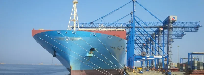 MARSTAL MAERSK Container Ship IMO 9619971