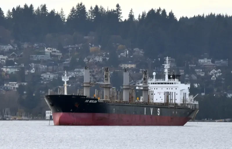 IVS MERLION Bulk Carrier IMO 9620126