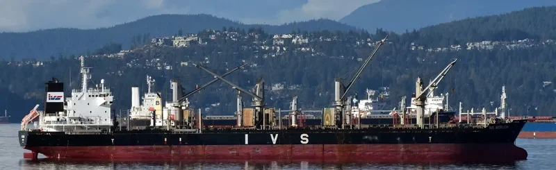 IVS MERLION Bulk Carrier IMO 9620126 photo 3