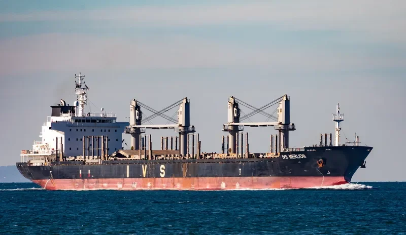 IVS MERLION Bulk Carrier IMO 9620126 photo 6